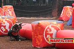 IMG2851.jpg