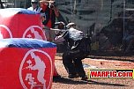 IMG3494.jpg