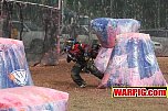 IMG3603.jpg