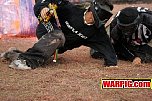 IMG3702.jpg