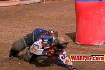 IMG3855.jpg