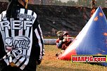 IMG3913.jpg