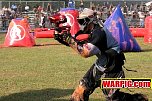 IMG3917.jpg