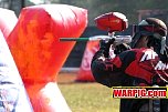 IMG3997.jpg
