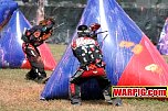 IMG4049.jpg