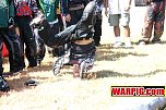 IMG4317.jpg