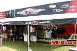 IMG4261.jpg