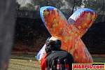 IMG_6375.jpg