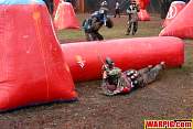 IMG_6293.jpg