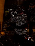 MVC022S.jpg