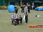 speedyreffing03941.jpg